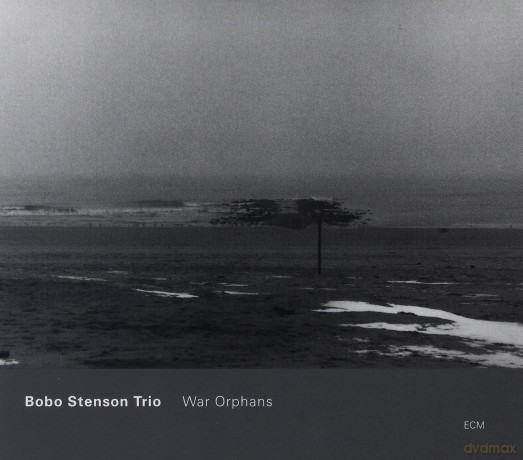 Stenson Bobo Trio: War Orphans [CD]