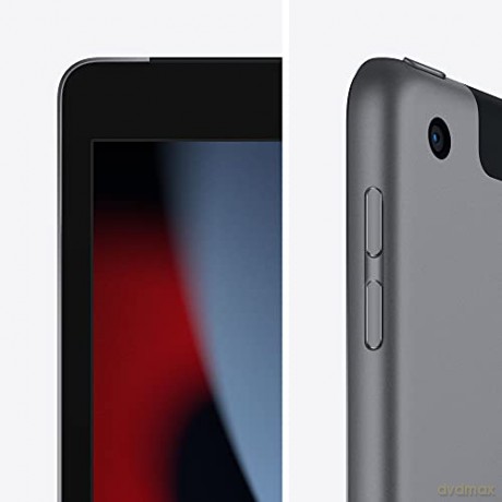 iPad 10.2 cala Wi-Fi + Cellular 64GB - Gwiezdna szarość