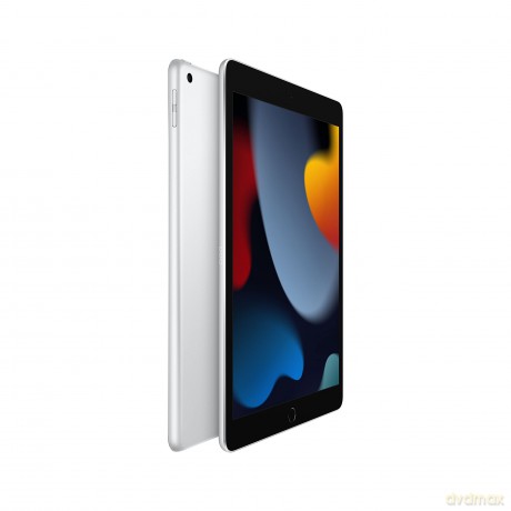 iPad 10.2 cala Wi-Fi 256GB - Srebrny