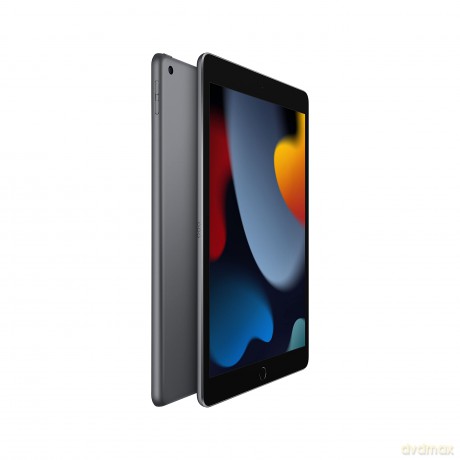 iPad 10.2 cala Wi-Fi 64GB - Gwiezdna szarość
