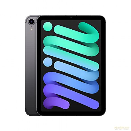 iPad mini Wi-Fi + Cellular 256GB - Gwiezdna szarość