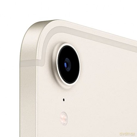 iPad mini Wi-Fi + Cellular 256GB - Księżycowa poświata