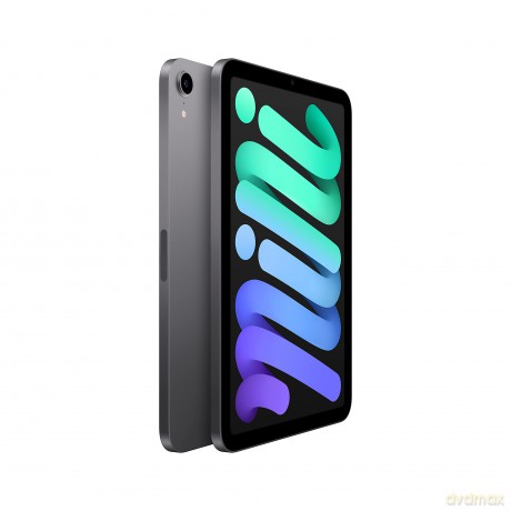 iPad mini Wi-Fi 256GB - Gwiezdna szarość