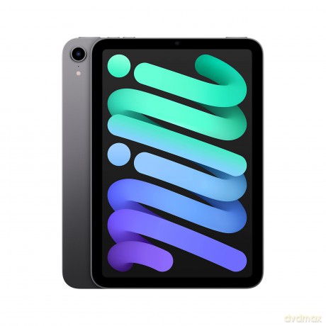 iPad mini Wi-Fi 64GB - Gwiezdna szarość
