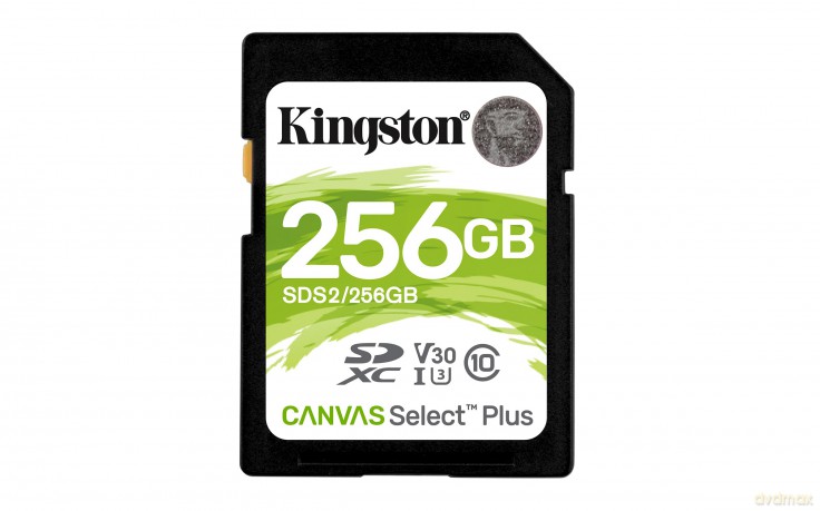 Karta pamięci SD 256GB Canvas Select Plus R100MB/s