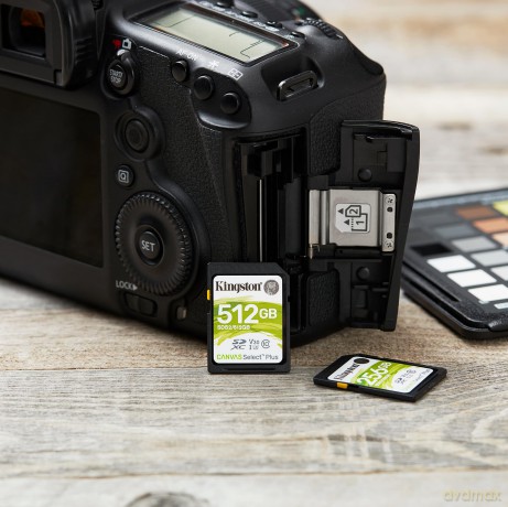 Karta pamięci SD 256GB Canvas Select Plus R100MB/s
