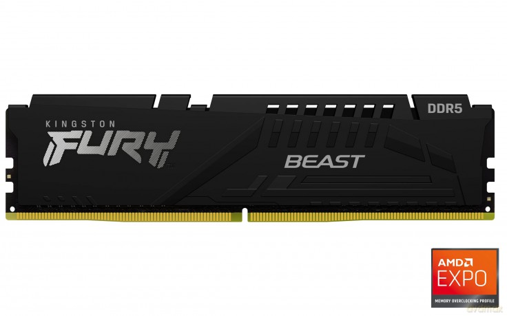 Pamięć DDR5 Fury Beast Black 16GB(1*16GB)/5600 CL36 EXPO