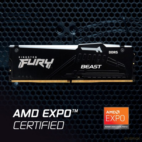 Pamięć DDR5 Fury Beast Black RGB 16GB(1*16GB)/5600 CL36 EXPO