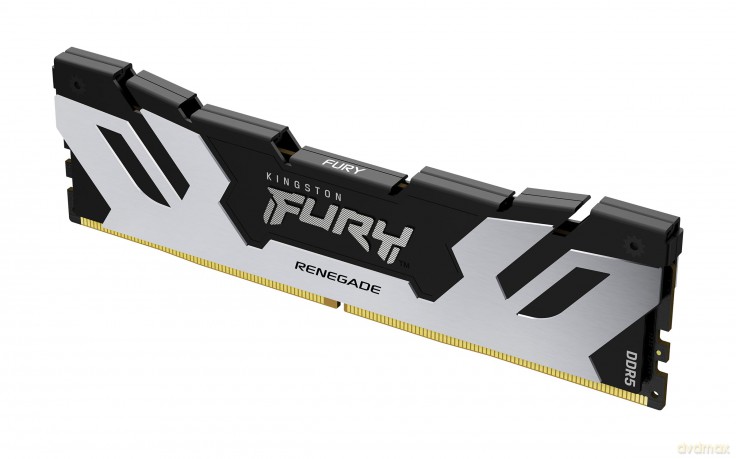 Pamięć DDR5 Fury Renegade Silver 16GB(1*16GB)/6400 CL32