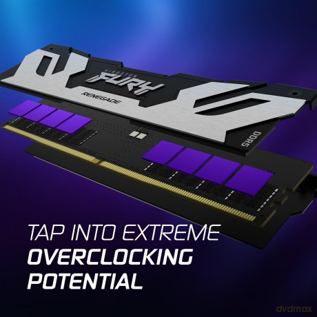 Pamięć DDR5 Fury Renegade Silver 16GB(1*16GB)/6400 CL32
