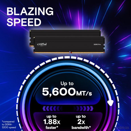 Pamięć DDR5 Pro 24GB/ 5600(1*24GB)CL46(24Gbit)