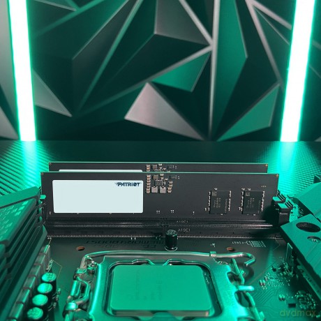 Pamięć Signature DDR5 16GB/5600(1*16GB) CL46