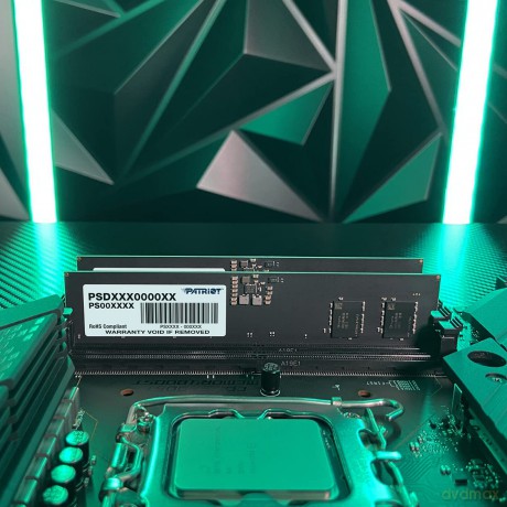 Pamięć Signature DDR5 8GB/4800(1*8GB) CL40