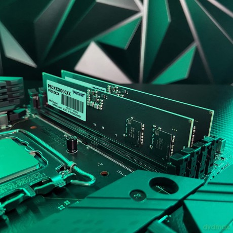 Pamięć Signature DDR5 8GB/4800(1*8GB) CL40