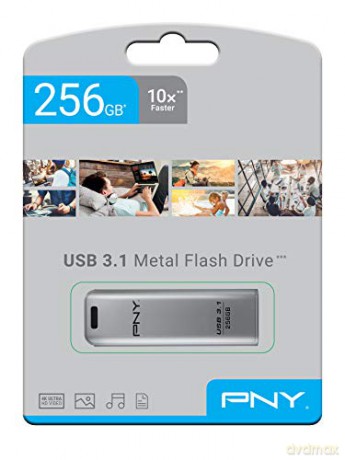 Pendrive 256GB USB3.1 ELITE STEEL FD256ESTEEL31G-EF