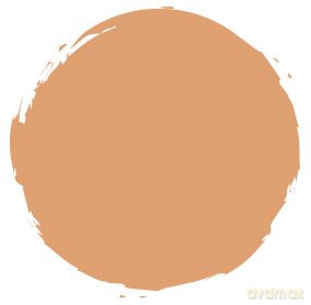 Helena Rubinstein Color Clone Subli Mat 21 Beige Natural 30ml [KOSMETYKI]