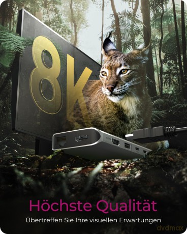 Stacja dokująca IB-DK4061-CPD 12w1,2xHDMI, PD 100W