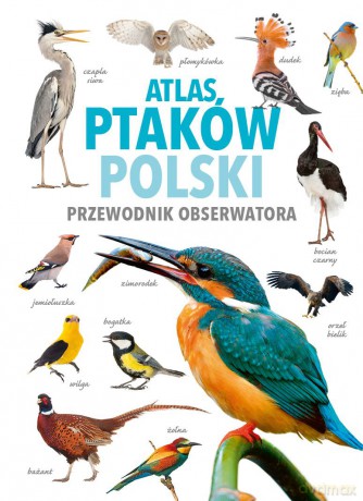 Atlas Ptaków Polski - Magdalena Janiszewska, Radosław Włodarczyk [KSIĄŻKA]