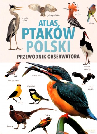 Atlas Ptaków Polski - Magdalena Janiszewska, Radosław Włodarczyk [KSIĄŻKA]
