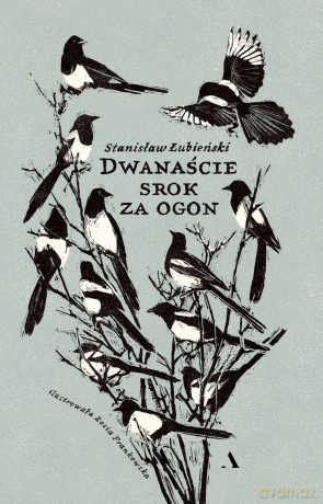 Dwanaście srok za ogon - Stanisław Łubieński [KSIĄŻKA]