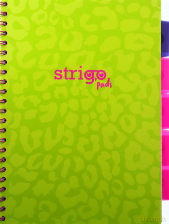 Kołozeszyt Strigo A4 Project Book Neon zielony linia