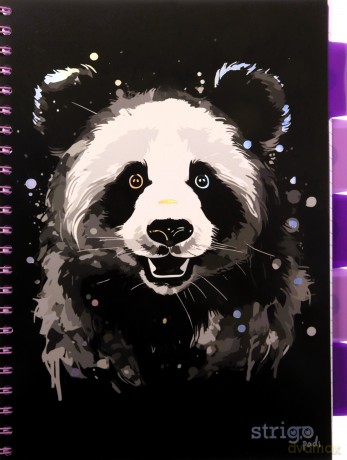 Kołozeszyt Strigo A4 Project Book Panda czarny linia