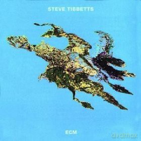 Steve Tibbets: Big Map Idea [CD]