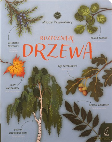 Rozpoznaję drzewa. Młodzi przyrodnicy - Patrycja Zarawska [KSIĄŻKA]
