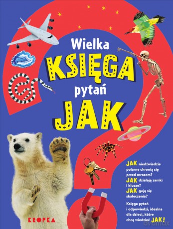 Wielka księga pytań jak - Sally Symes, Saranne Taylor [KSIĄŻKA]