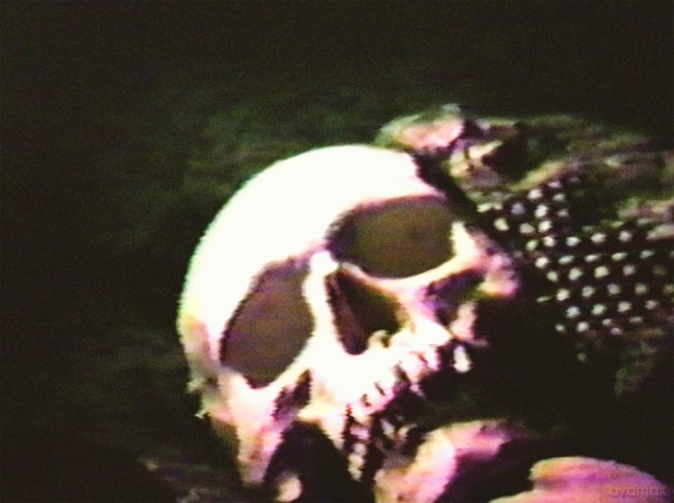 Cannibal Orgy and the Films of J.T. IV [Blu-Ray]
