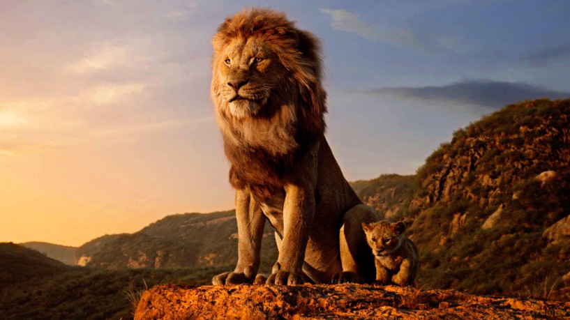 Lion King 3-Movie Collection - Multi-Feature (3 Discs) - [3DVD]