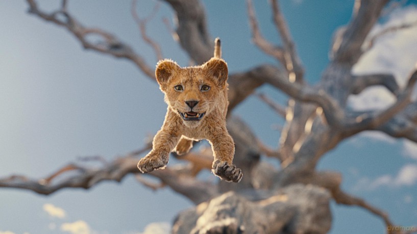 Mufasa: The Lion King (Mufasa: Król Lew) [Blu-Ray]+[DVD]