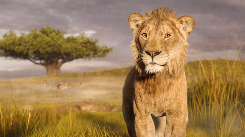 Mufasa: The Lion King (Mufasa: Król Lew) (steelbook) [Blu-Ray 4K]+[Blu-Ray]