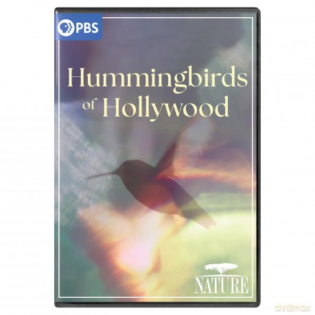 NATURE: Hummingbirds of Hollywood [DVD]