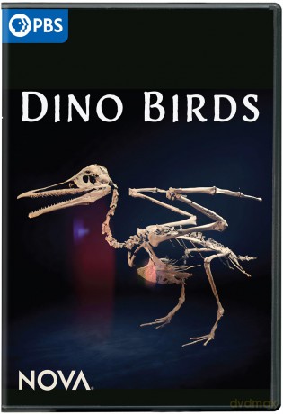 NOVA: Dino Birds [DVD]