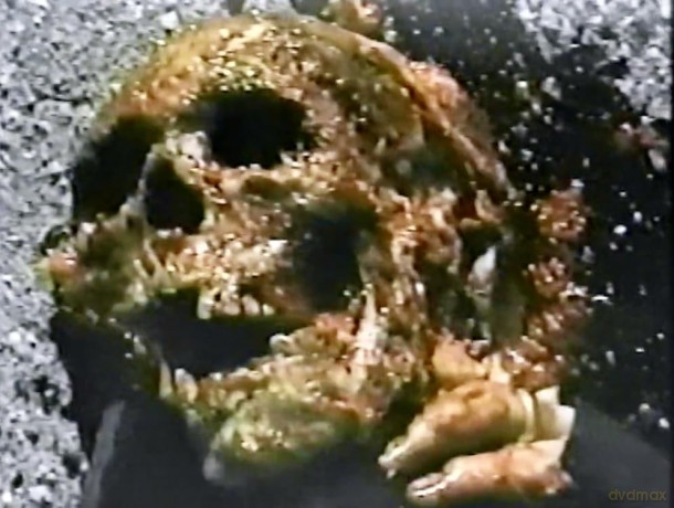 Rot [Blu-Ray]