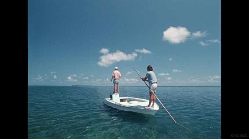Tarpon [Blu-Ray]