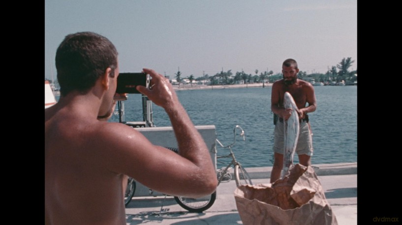 Tarpon [Blu-Ray]