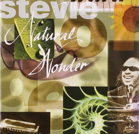 Stevie Wonder: Natural Wonder [2CD]