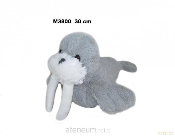 Mors 30cm MIX