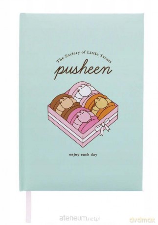 Pusheen Notes Lux