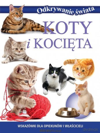 Odkrywanie świata. Koty i kocięta [KSIĄŻKA]