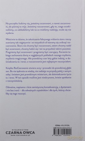 Rozczarowanie. Trochę inne wprowadzenie do zen - Alexander Poraj [KSIĄŻKA]
