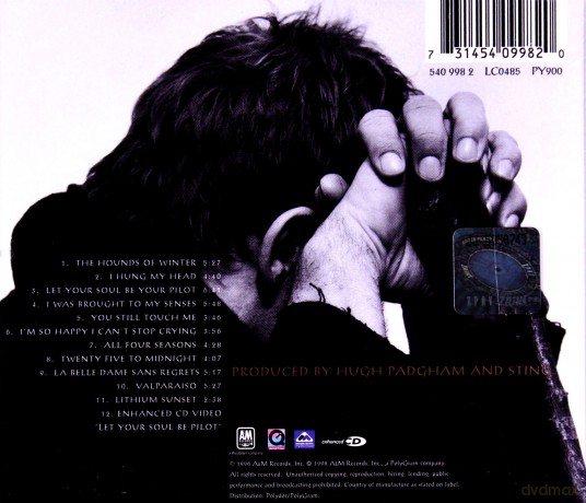 Sting: Mercury Falling (Remastered) [CD]