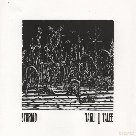 Stormo: Tagli Talee [CD]