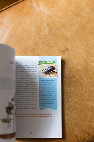 !Cuán grande es nuestro Dios!: 100 Devocionales indescriptibles acerca de Dios y la ciencia [KSIĄŻKA]