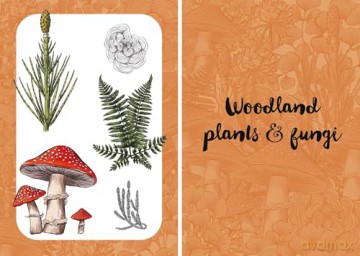 10 Step Drawing: Botanicals: Draw over 50 plants in 10 easy steps [KOMIKS]
