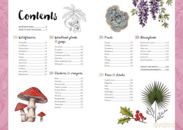 10 Step Drawing: Botanicals: Draw over 50 plants in 10 easy steps [KOMIKS]