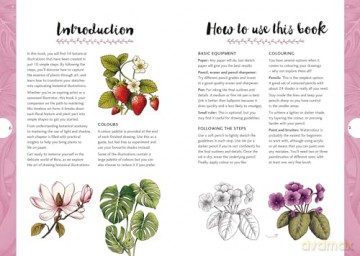 10 Step Drawing: Botanicals: Draw over 50 plants in 10 easy steps [KOMIKS]