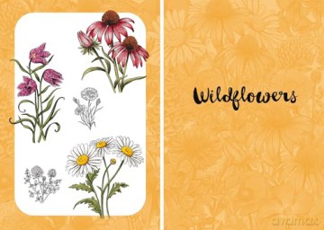 10 Step Drawing: Botanicals: Draw over 50 plants in 10 easy steps [KOMIKS]